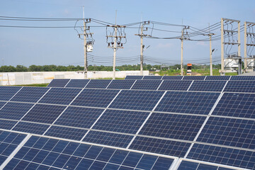 Solar panels generate electricity at solar farm.