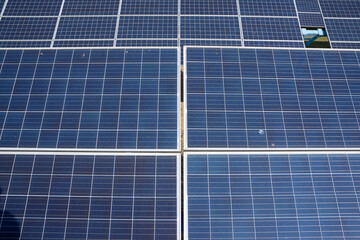 Solar panels generate electricity at solar farm.