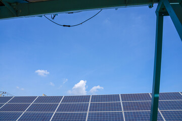 Solar panels generate electricity at solar farm.
