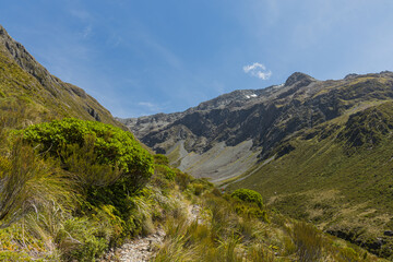 ニュージーランド　アーサーズ・パス国立公園のオティラ・バレー・トラックからの風景