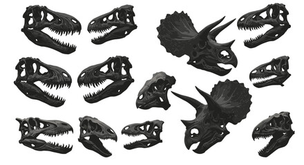 Dinosaur skull collection: fossilized skeletons from prehistoric era