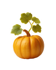 Halloween pumpkin with green leaves isolated on transparent background