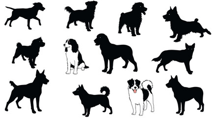 Fototapeta premium Silhouette and outline collection of dog breeds in various poses