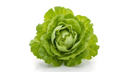 Obraz premium Fresh Lettuce Isolated on White Background – Premium Leafy Vegetable Photography