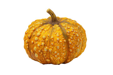 Gourd with bumpy texture isolated on transparent background