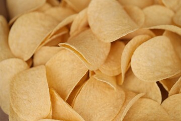Homemade Flavored Paprika Potato Chips in a Bowl, top view. Flat lay