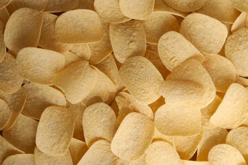 Homemade Flavored Paprika Potato Chips in a Bowl, top view. Flat lay
