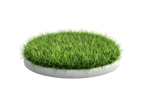 A dense, circular patch of green grass with upright blades