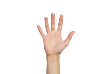 Open hand showing five fingers, isolated on transparent background