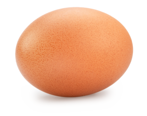 Brown-shelled chicken egg on white background. Cut out PNG file.