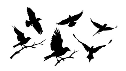 A black image with no discernible content