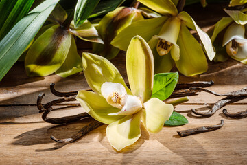 Yellow moth orchid flowers, green leaves and vanilla sticks on wooden table.