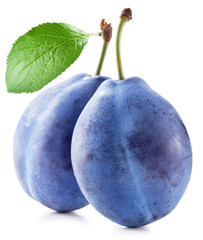Two prune plums with green leaf on white background. File contains clipping paths.