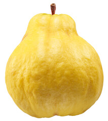 Quince fruit isolated on white background. File contains clipping path.