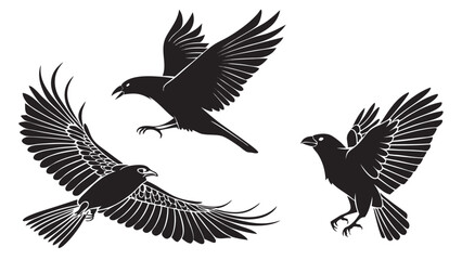Three black birds in flight with detailed wings