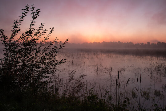 Fototapeta Piękny wschód słońca nad stawem, jesienne tło dzikiej natury.
