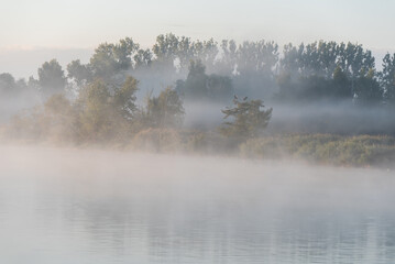 Mglisty letni poranek nad wodą, Polska Śląsk.  © Elżbieta Kaps