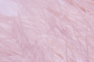 Macro texture of fabric surfaces: linen, cotton, wool, velvet, denim, metallic. High-detail tactile patterns with organic weaves, soft fibers, and stylish colors. Perfect for design backgrounds.