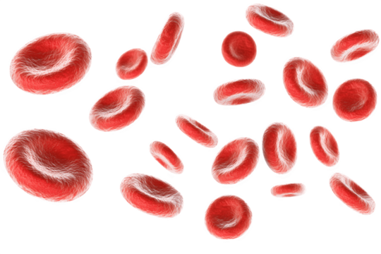Several red blood cells illustrated floating in the air