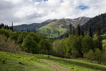 alpine mountains and clouds landscape background