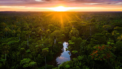 Aerial drone view of a winding river flowing through a dense lush green rainforest at sunset with golden sunbeams breaking through dramatic clouds