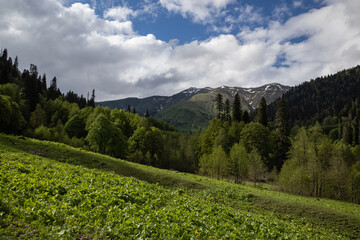 alpine mountains and clouds landscape background