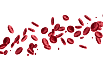 Several red blood cells illustrated floating in the air