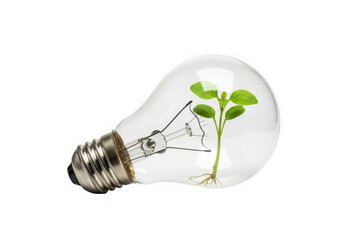 Glowing green sprout inside a clear lightbulb symbolizing eco-friendly energy and innovation transparent background