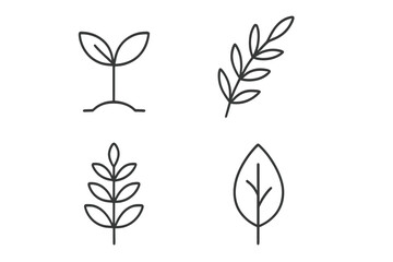 Set of 4 botanical line icons. Minimalist plant and leaf symbols. Sprout, branch, foliage vector illustration. Simple nature, eco, organic outline graphic elements for design.