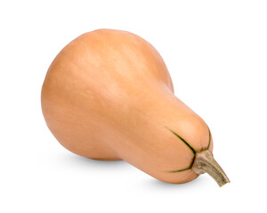 Butternut squash isolated on white background