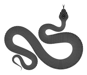 Black Snake silhouette on white background. Isolated vector illustration of coiled serpent in minimalistic design