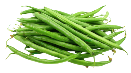 Freshly Picked Green Beans: A flat lay of freshly picked green beans with vibrant green color, isolated on a Transparent background, PNG file.