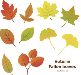 Autumn leaves isolated on white background vector illustration