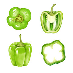 A set of hand-drawn illustrations of green bell peppers. The set includes a whole pepper, a half-cut pepper, and a sliced pepper.