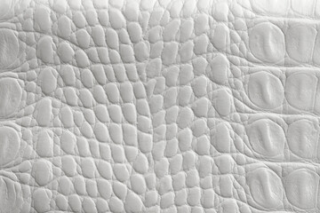 leather texture, genuine crocodile-embossed leather