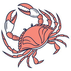 Coastal Crab Illustration Ocean Life
