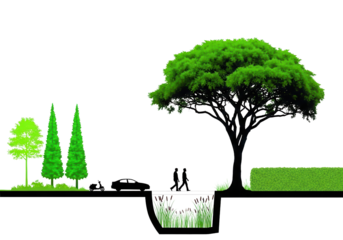 Sustainable urban landscape design with bioswale for stormwater management isolated PNG with Transparent Background