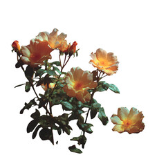 Peach Roses Under Moonlight: A Faded Garden at Night, photoreal cutout, studio lighting, isolated on white background