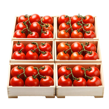 Fresh Tomberry Tomatoes in Wooden Crate - Farm Fresh, Organic Vegetables Photo