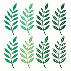 Assortment of Green Leafy Branches leaves botanical