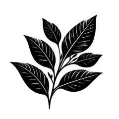 Ornamental Foliage Leaves Vector Illustration