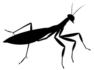 mantis animal black silhouette vector,mantis icon