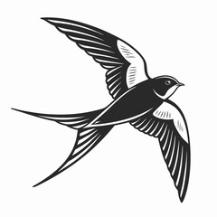 Obraz premium Swallow bird flying isolated black and white