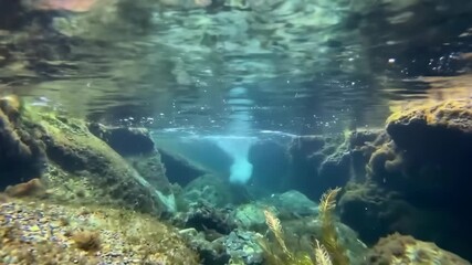 Underwater view of a riverbed with rocks and algae in sunlight