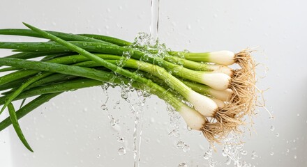 Running water and green onions