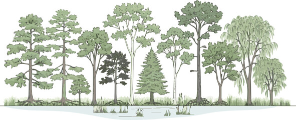 Create a Architectural Drawings, Minimal style cad tree line drawing, Side view, set of section wetland forest outline for landscape design drawing. Vector illustration in seperate element vector art 