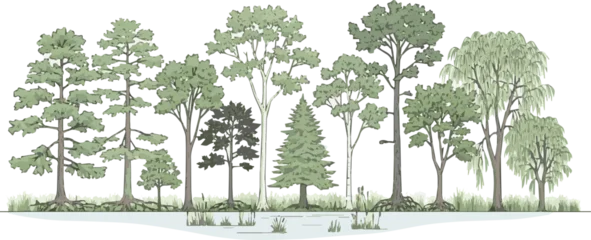 Gardinen Olive Create a Architectural Drawings, Minimal style cad tree line drawing, Side view, set of section wetland forest outline for landscape design drawing. Vector illustration in seperate element vector art   © al