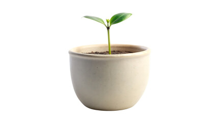 Minimalist Ceramic Planter with Small Green Sprout &ndash; Isolated on Transparent Background, AI Generated