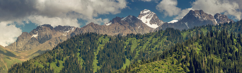 Obraz premium Breathtaking snow capped mountain peak rising above lush green slopes and dense coniferous forest in the Tian-Shan mountains