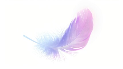 Obraz premium Vibrant Orange Feather with Gradient Colors Isolated on White Background